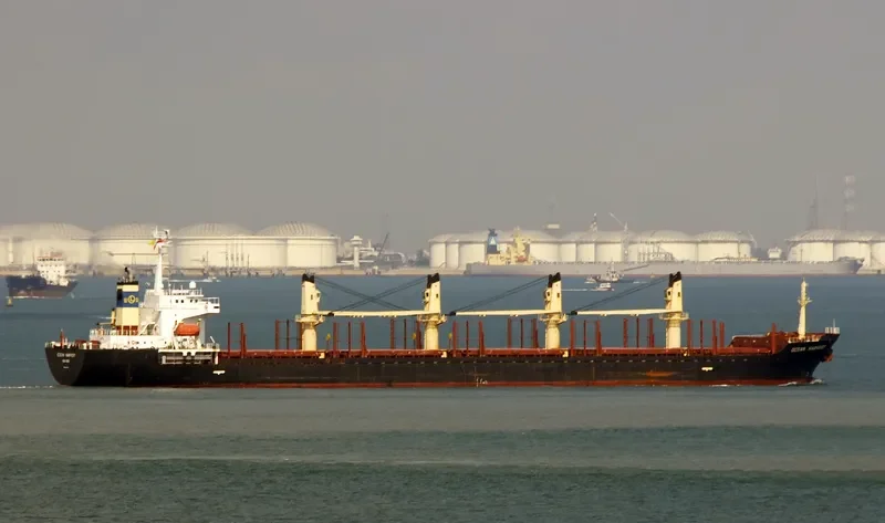 OCEAN HARVEST Bulk Carrier IMO 9267091 photo 3