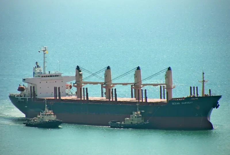 OCEAN HARVEST Bulk Carrier IMO 9267091 photo 4