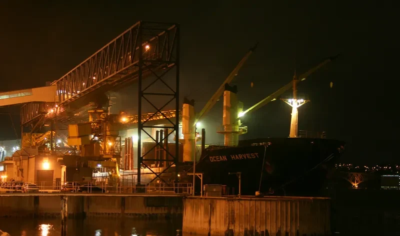 OCEAN HARVEST Bulk Carrier IMO 9267091 photo 6