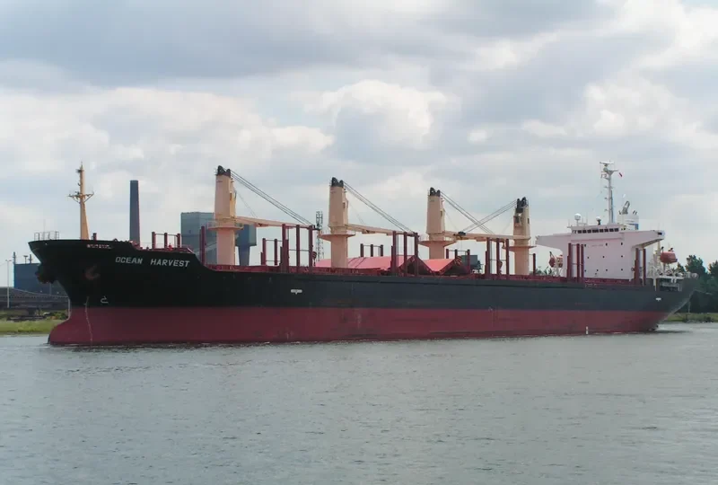 OCEAN HARVEST Bulk Carrier IMO 9267091 photo 9