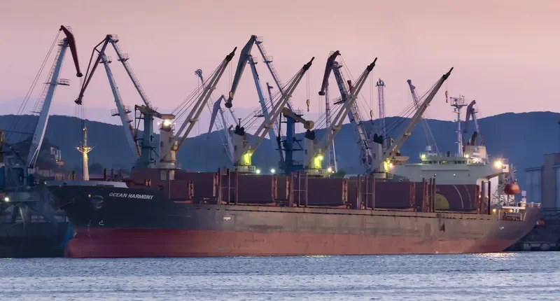SUNNY HONOR Bulk Carrier IMO 9267106 photo 5