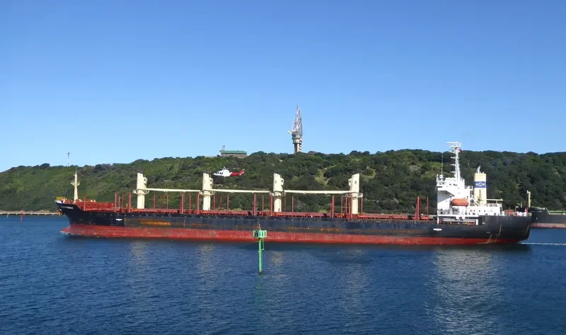 SUNNY HONOR Bulk Carrier IMO 9267106 photo 8