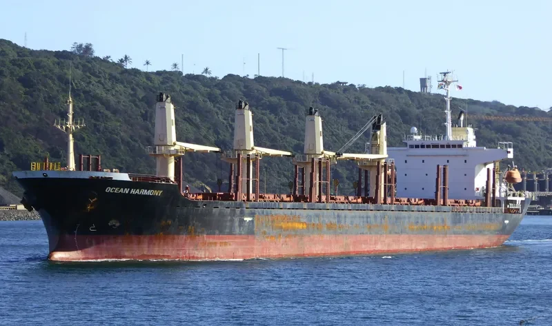 SUNNY HONOR Bulk Carrier IMO 9267106 photo 10