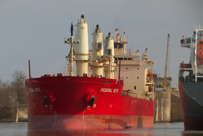 FEDERAL SETO Bulk Carrier IMO 9267209