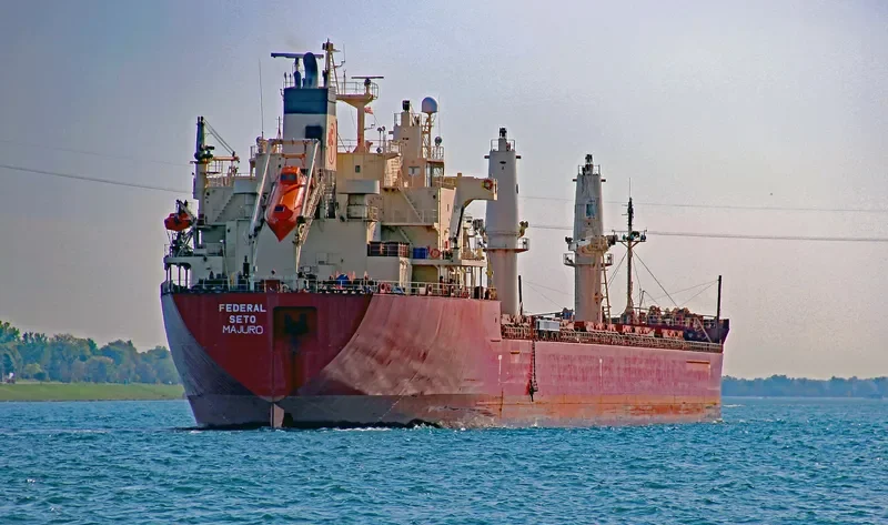 FEDERAL SETO Bulk Carrier IMO 9267209 photo 5