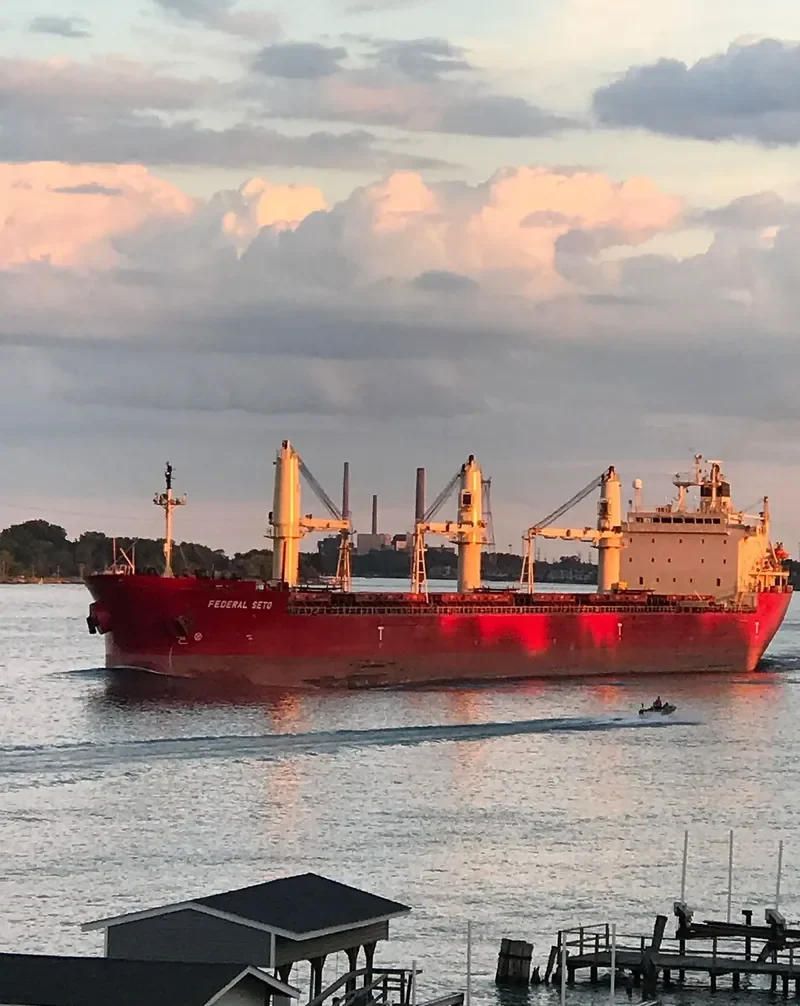 FEDERAL SETO Bulk Carrier IMO 9267209 photo 8