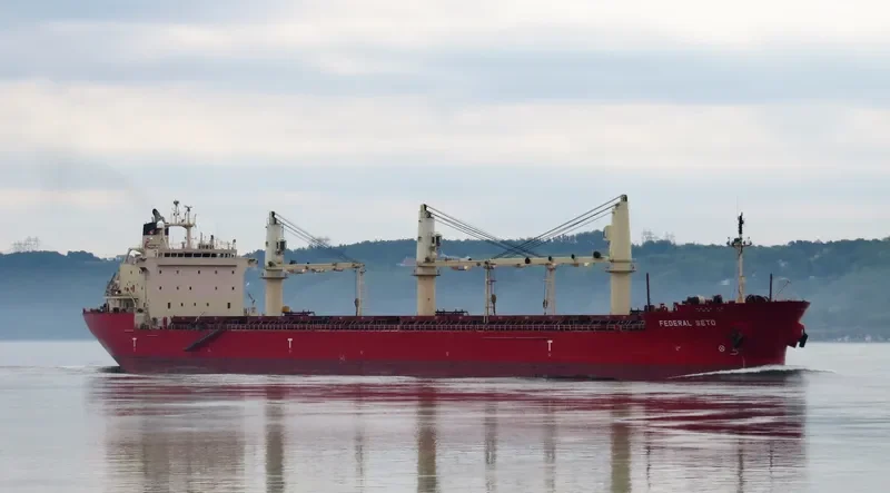 FEDERAL SETO Bulk Carrier IMO 9267209 photo 10