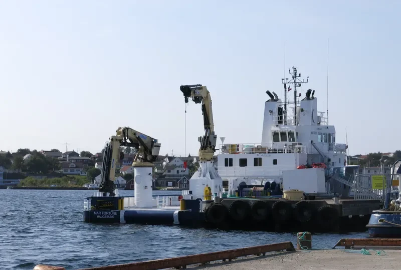 MAR FORTUNE General Cargo IMO 9267273 photo 5
