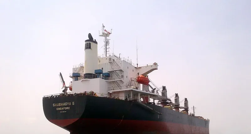 KAI XUAN 9 Bulk Carrier IMO 9267417 photo 8