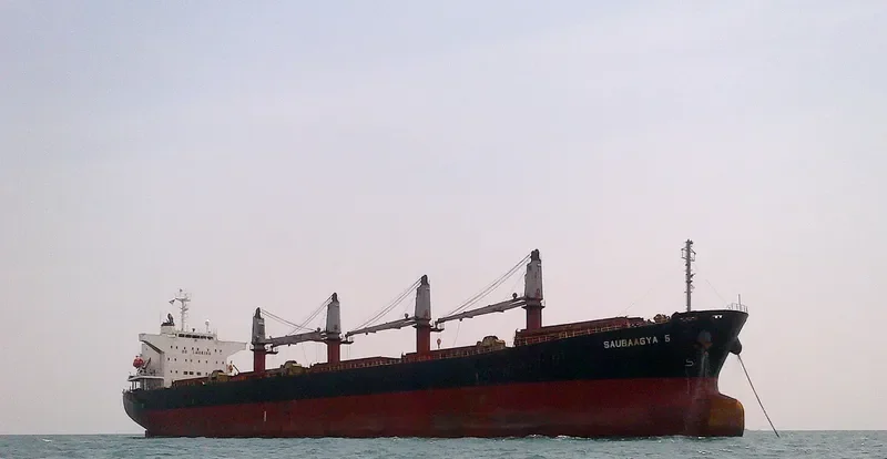 KAI XUAN 9 Bulk Carrier IMO 9267417 photo 9