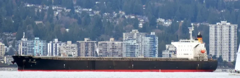 CHOLA VIRTUE Bulk Carrier IMO 9267601