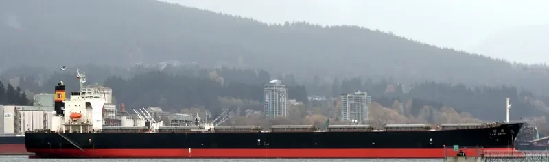 CHOLA VIRTUE Bulk Carrier IMO 9267601 photo 3