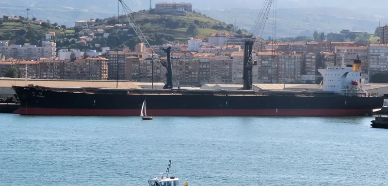 CHOLA VIRTUE Bulk Carrier IMO 9267601 photo 6