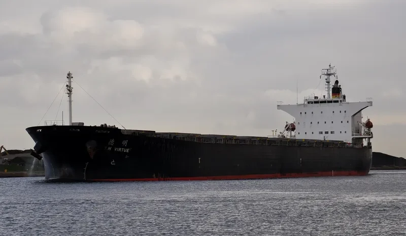 CHOLA VIRTUE Bulk Carrier IMO 9267601 photo 10