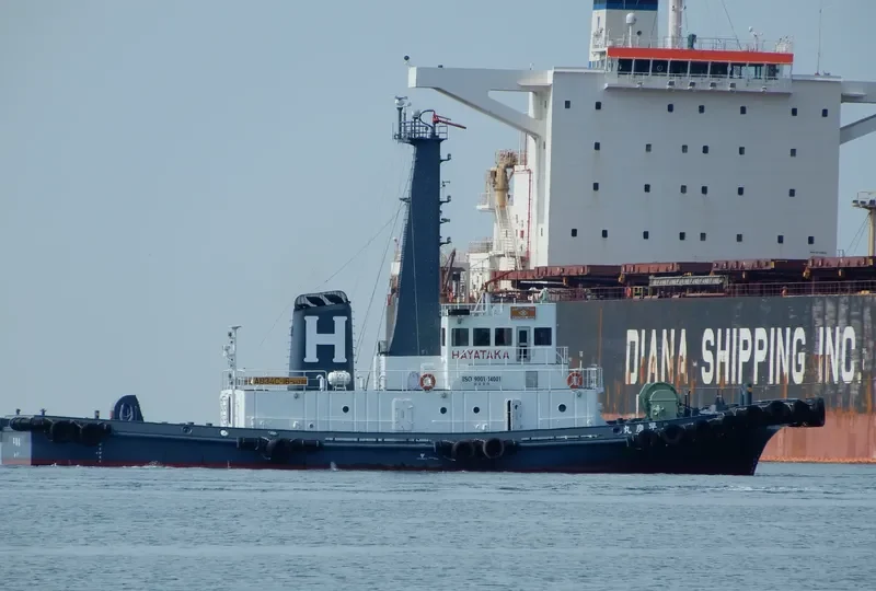 HAYATAKA MARU General Cargo IMO 9267807 photo 2