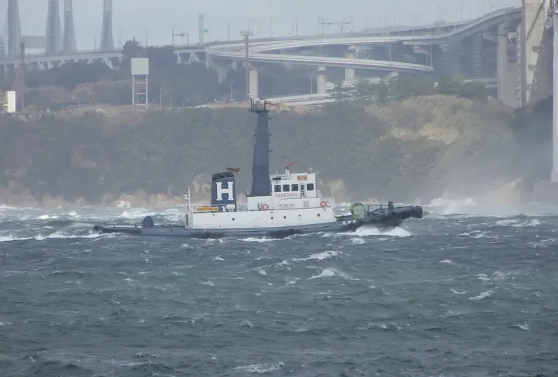 HAYATAKA MARU General Cargo IMO 9267807 photo 3