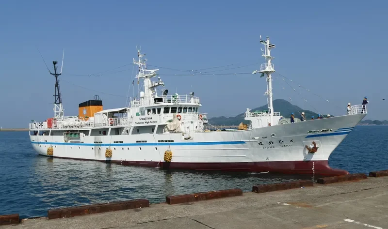 EHIME MARU General Cargo IMO 9267845 photo 3