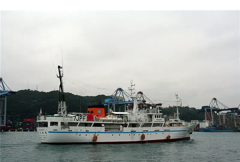 EHIME MARU General Cargo IMO 9267845 photo 8