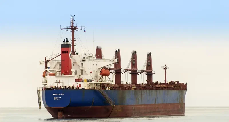 PRINCESS BOA Bulk Carrier IMO 9267900 photo 3