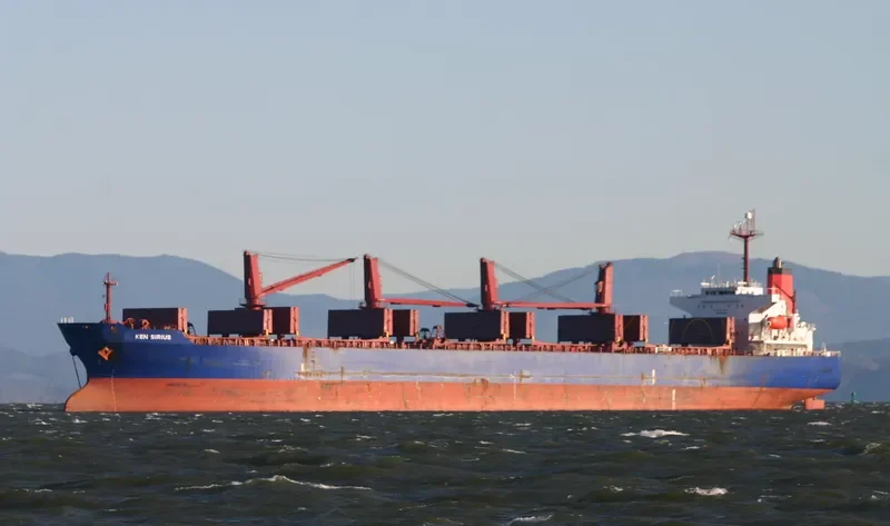 PRINCESS BOA Bulk Carrier IMO 9267900 photo 9