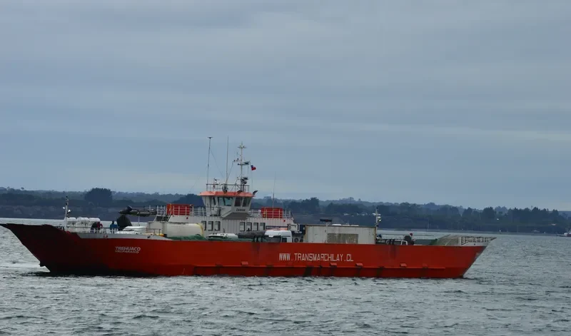 TREHUACO Ro-Ro IMO 9268382 photo 3