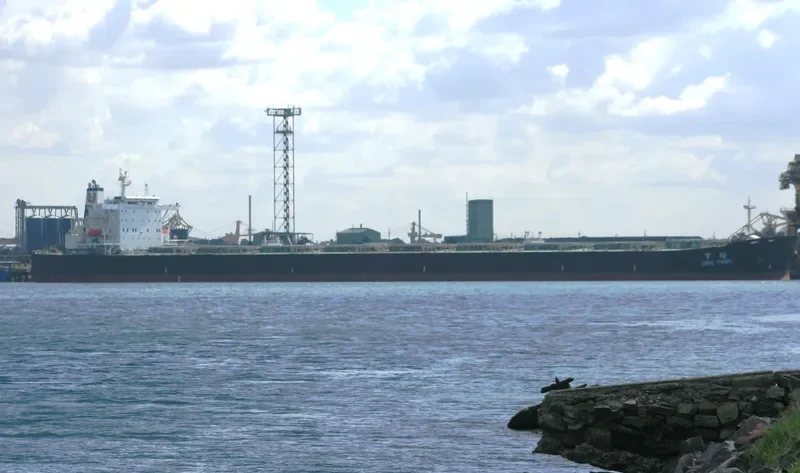 CAPE BOSS Bulk Carrier IMO 9268796