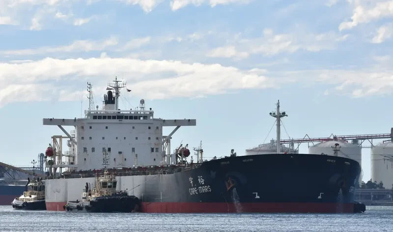 CAPE BOSS Bulk Carrier IMO 9268796 photo 6