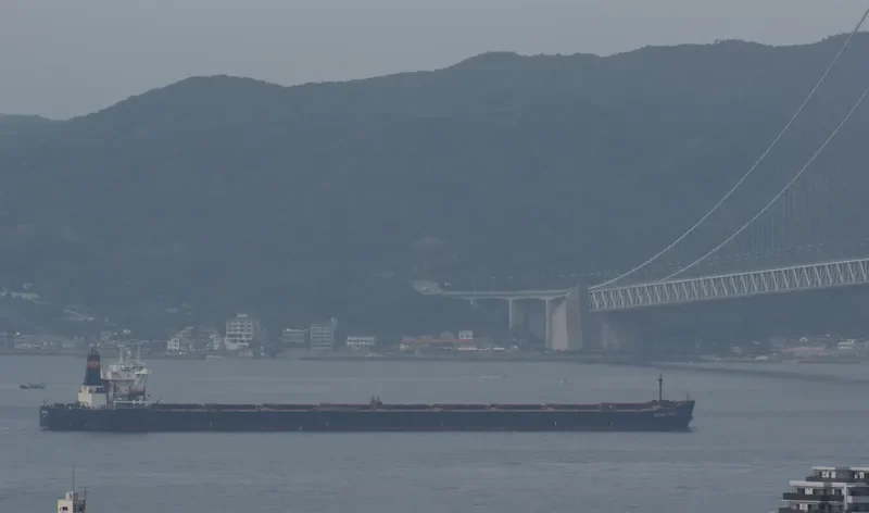 HUANG SHAN Bulk Carrier IMO 9268813 photo 7