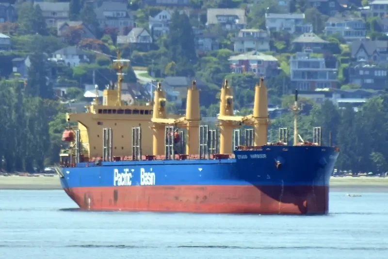 OTAGO HARBOUR Bulk Carrier IMO 9268928 photo 4