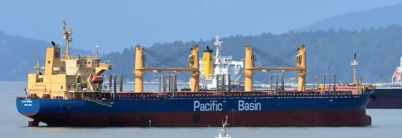OTAGO HARBOUR Bulk Carrier IMO 9268928 photo 5