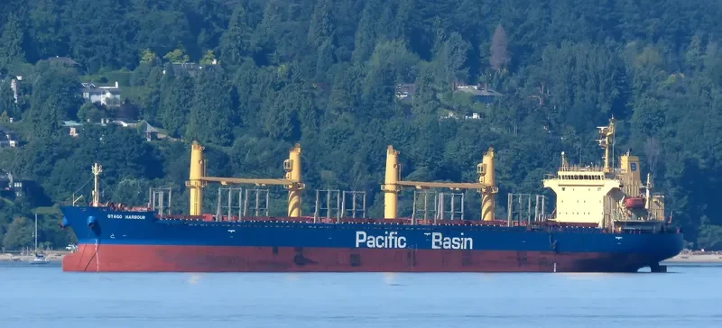 OTAGO HARBOUR Bulk Carrier IMO 9268928 photo 7