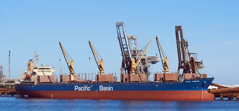 OTAGO HARBOUR Bulk Carrier IMO 9268928 photo 8