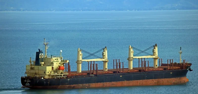 SUN GRACE Bulk Carrier IMO 9268930 photo 2