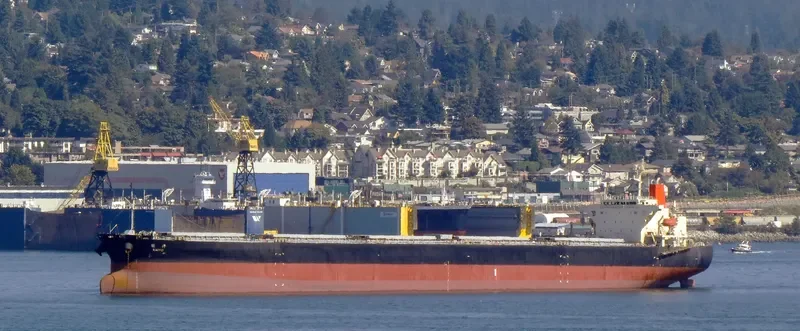 JR SUMMER Bulk Carrier IMO 9268954 photo 10