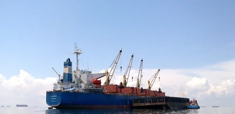 THEOSKEPASTI Bulk Carrier IMO 9268978 photo 2