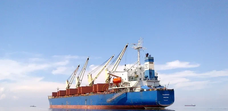 THEOSKEPASTI Bulk Carrier IMO 9268978 photo 3
