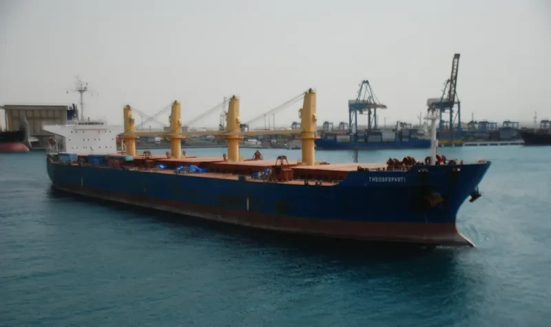THEOSKEPASTI Bulk Carrier IMO 9268978 photo 4