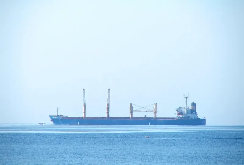 THEOSKEPASTI Bulk Carrier IMO 9268978 photo 7