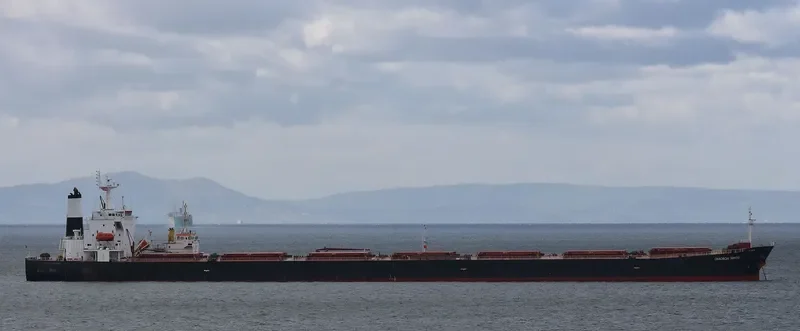 OMICRON NIKOS Bulk Carrier IMO 9268980 photo 2