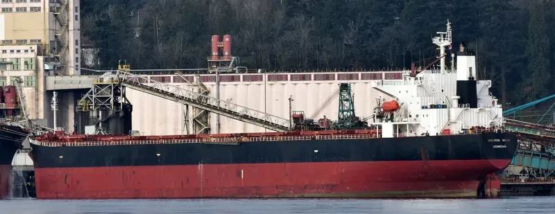 OMICRON NIKOS Bulk Carrier IMO 9268980 photo 5