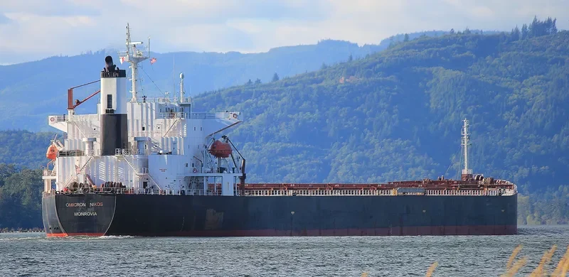 OMICRON NIKOS Bulk Carrier IMO 9268980 photo 7