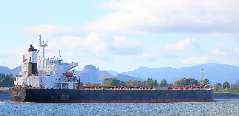 OMICRON NIKOS Bulk Carrier IMO 9268980 photo 9