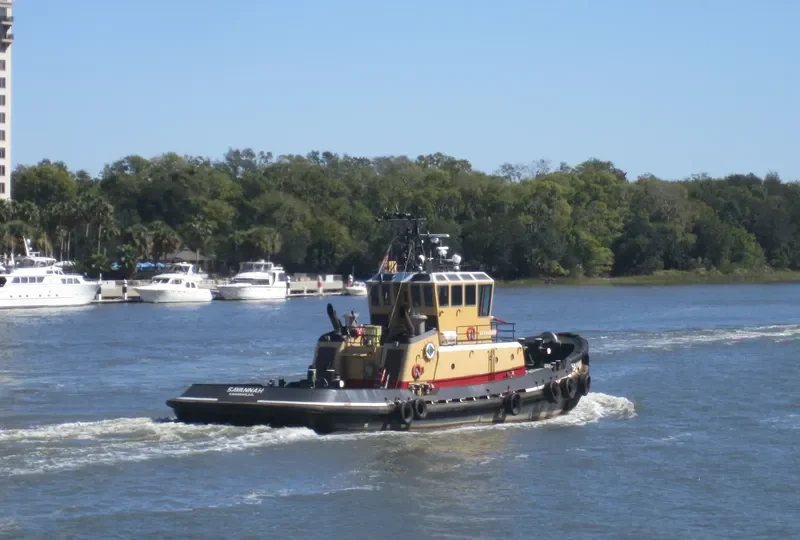 SAVANNAH General Cargo IMO 9269738