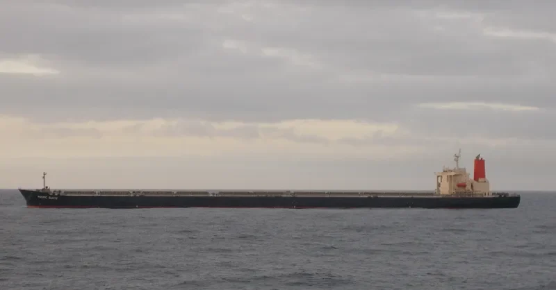 CAPE TOUCAN Bulk Carrier IMO 9270567