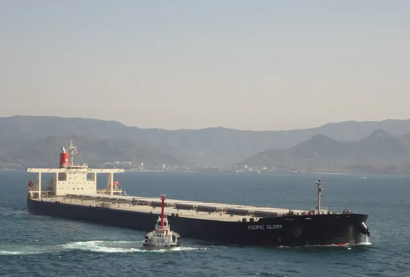 CAPE TOUCAN Bulk Carrier IMO 9270567 photo 3