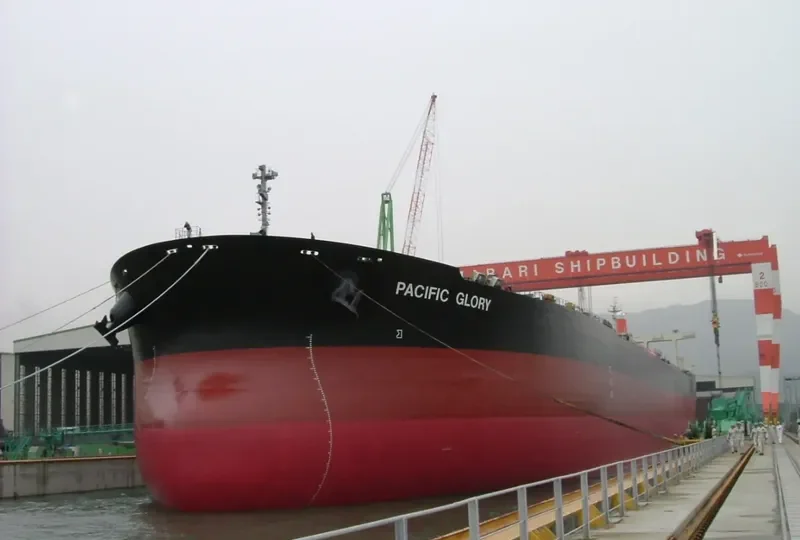 CAPE TOUCAN Bulk Carrier IMO 9270567 photo 9