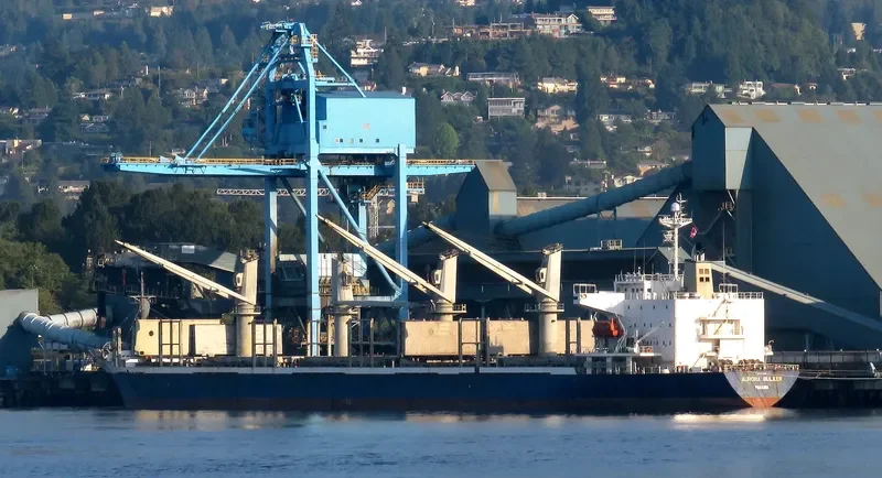 MARINA K Bulk Carrier IMO 9270919 photo 7