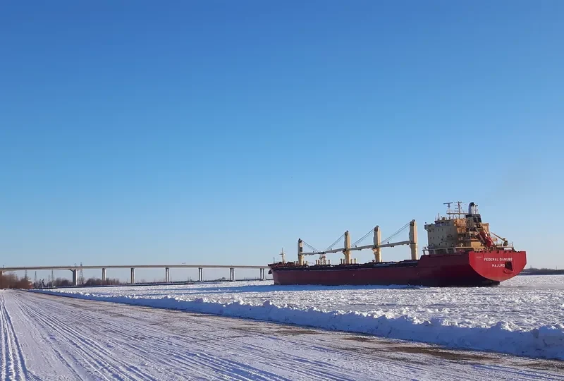 DSM CAPELLA Bulk Carrier IMO 9271511