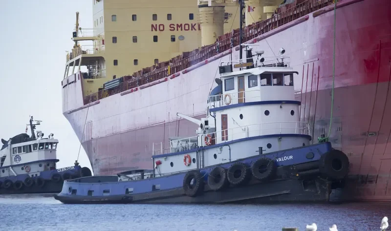DSM CAPELLA Bulk Carrier IMO 9271511 photo 4
