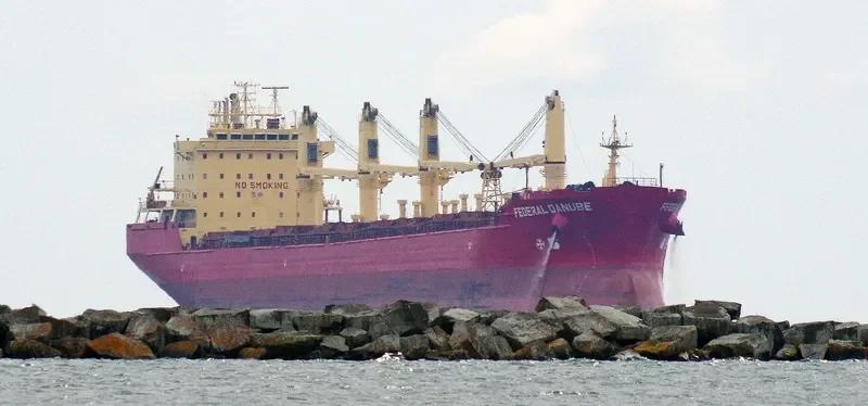 DSM CAPELLA Bulk Carrier IMO 9271511 photo 7